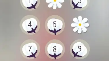 PIP Lock Screen screenshot 23