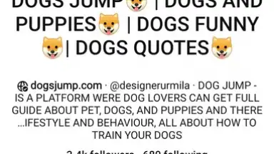 Pinterest screenshot 6