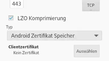 OpenVPN screenshot 7