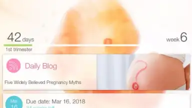 Pregnancy + screenshot 17