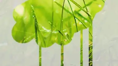 STEAMY живые обои screenshot 3