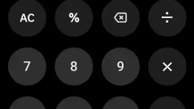 Calculator screenshot 1