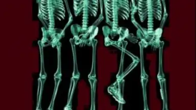 Scanner X-ray screenshot 1