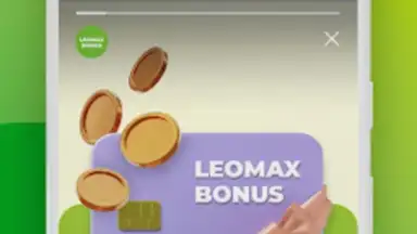 LEOMAX screenshot 1