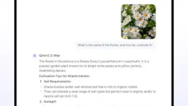 Qwen Chat screenshot 17
