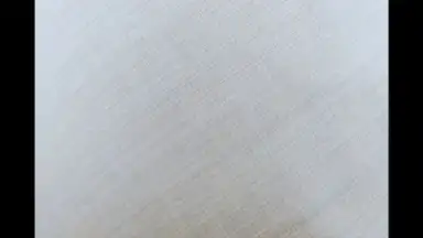 HedgeCam 2 screenshot 7