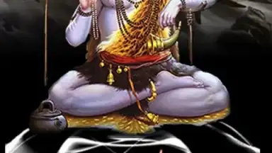 Virtual Shiva Worship screenshot 3