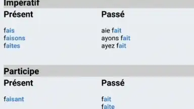 Le Conjugueur screenshot 6