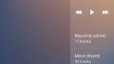 Samsung Music screenshot 5