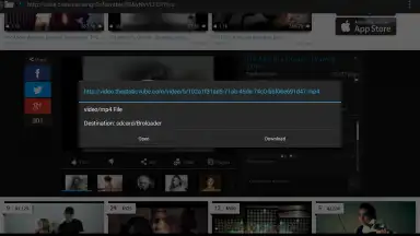 Broloader Video Downloader screenshot 10