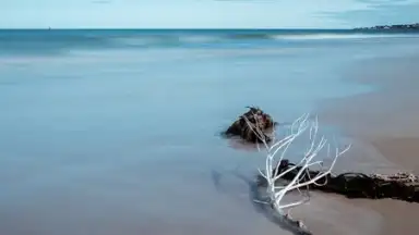 Mi Wallpaper Carousel screenshot 1