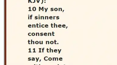 The Message Bible Free MSG screenshot 1