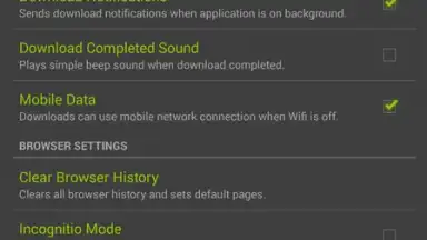 IDM screenshot 1