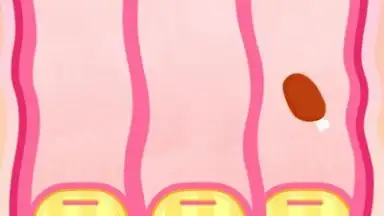 Baby Panda's Body Adventure screenshot 1