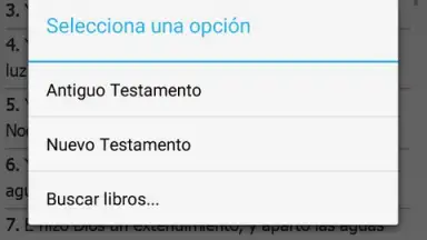 La Santa Biblia screenshot 3