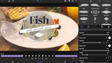 LumaFusion: Education Edition screenshot 5