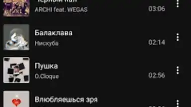 BiRD - Музыка из ВК screenshot 3