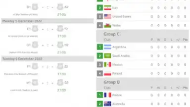 Live Scores for World Cup 2022 screenshot 2