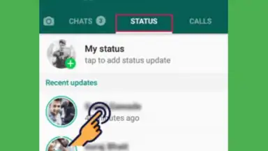 Guardar Estados de WhatsApp screenshot 2