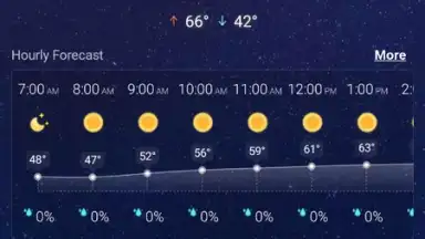 Local Weather Widget screenshot 12