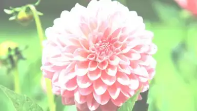 After Effect screenshot 9