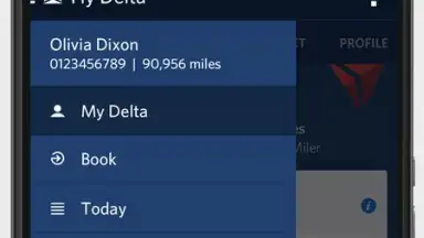 Fly Delta screenshot 8
