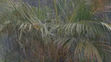 Relax Rain screenshot 5