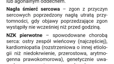 eMPendium screenshot 11