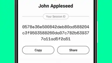 Session screenshot 2