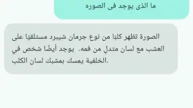 Chat Mate screenshot 7