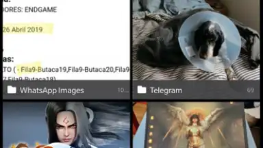 Vertical Gallery screenshot 1