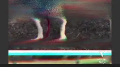 Motion Ninja screenshot 2