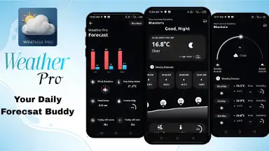 Weather Pro screenshot 1