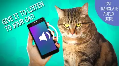 Кошачий Переводчик screenshot 1