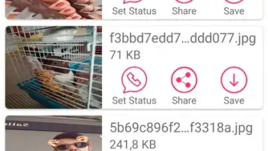 Status Saver screenshot 2