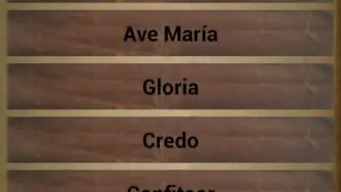 Catholicae preces screenshot 7