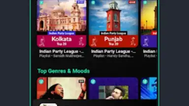 Musify-Online Music Player screenshot 6