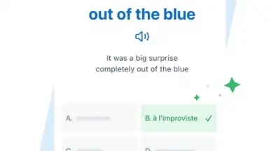 Reverso Translation Dictionary screenshot 25
