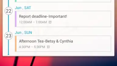 GO Calendar Widget screenshot 8
