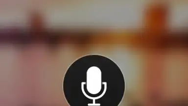 Microsoft Translator screenshot 7