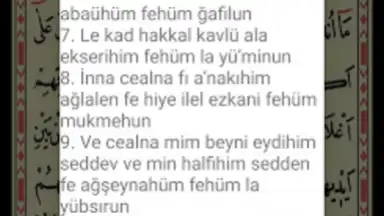 Yasin Suresi screenshot 3