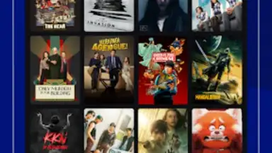 Disney+ Hotstar (Android TV) screenshot 3