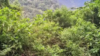 UpScrolled screenshot 5