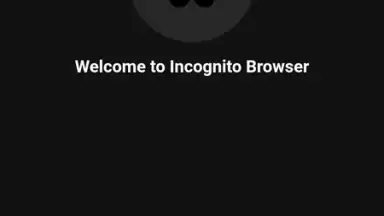 Private Browser screenshot 14