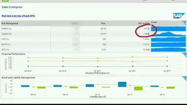 SAP BI screenshot 2