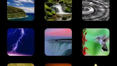 Звуки природы screenshot 3