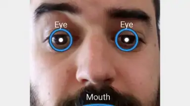FaceSwap screenshot 4