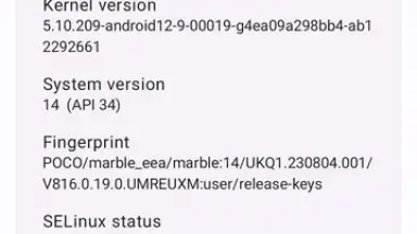 APatch screenshot 12