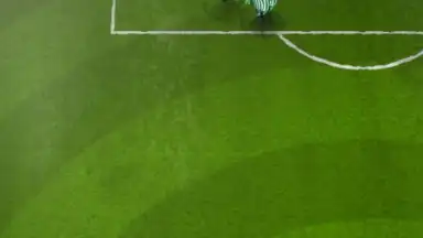 Angry Birds Goal! screenshot 4