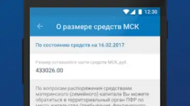 ПФР Электронные сервисы screenshot 1